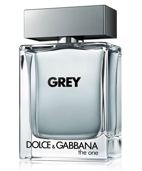 dolce and gabbana the one grey